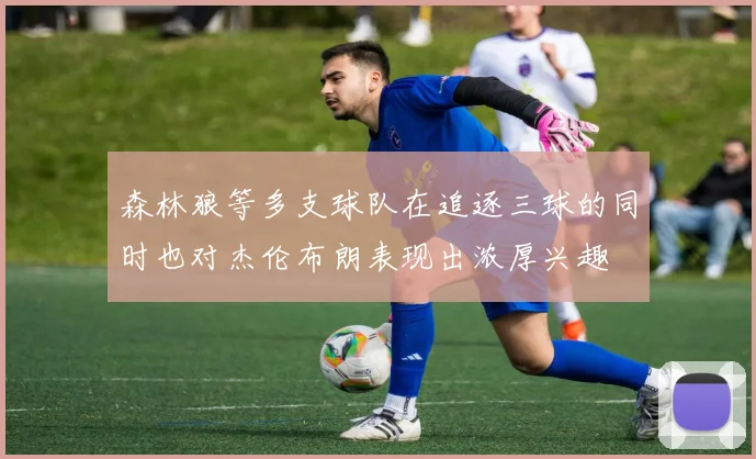 森林狼等多支球队在追逐三球的同时也对杰伦布朗表现出浓厚兴趣